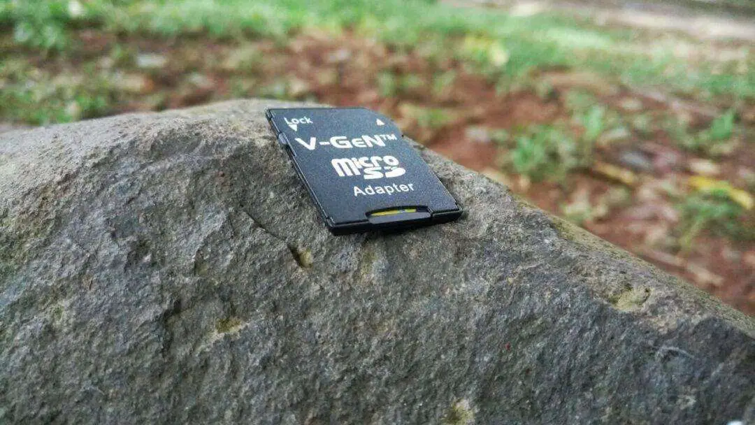 Differences Between SD Card vs. Flash Drive (Pros & Cons)