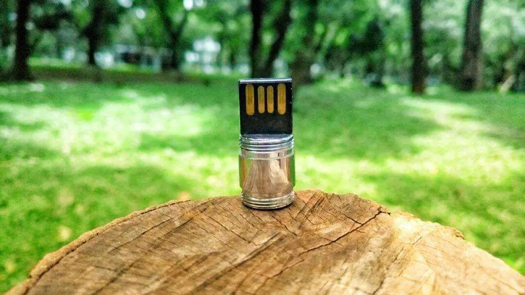 Differences Between SD Card vs. Flash Drive (Pros & Cons)