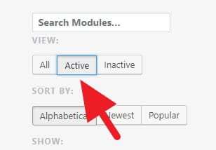 Active Modules - How to Make Jetpack Plugin Faster 11