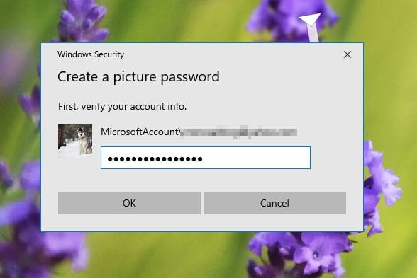 enter password - How to Enable 'Picture Password' on Windows 10 With Your Photo 13