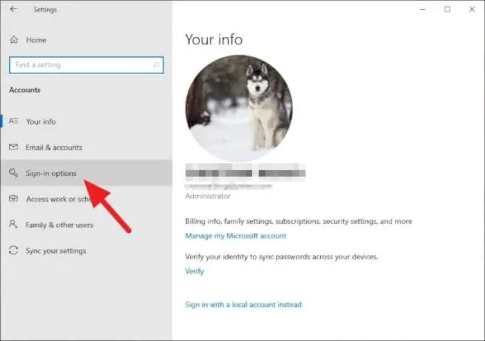 sign in options 1 - How to Enable 'Picture Password' on Windows 10 With Your Photo 9