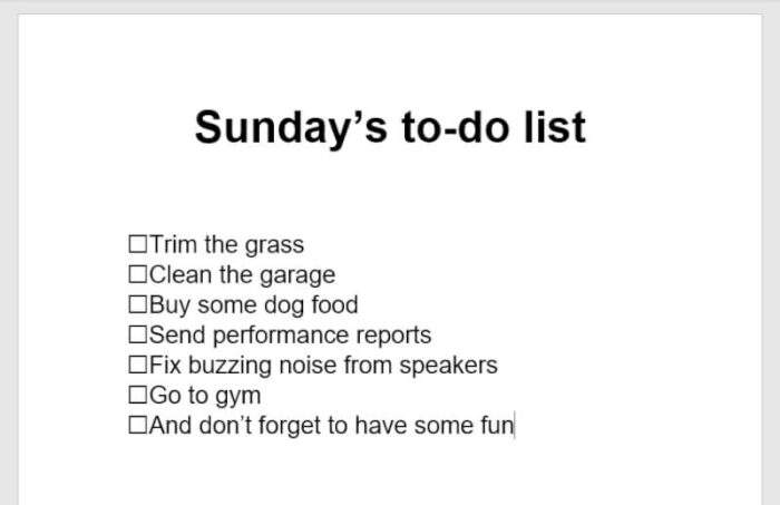 to do list check - How to Make a Printable Checklist in Microsoft Word 19