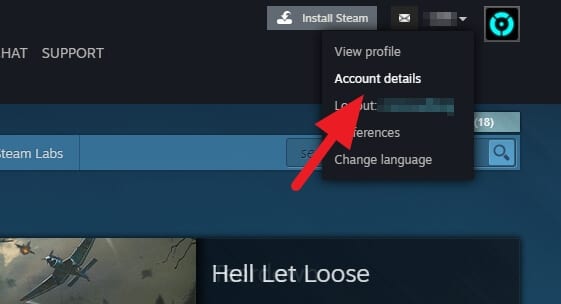 Account details 1 - How to Permanently Delete Your Steam Account 7