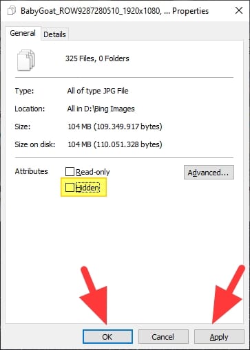 attributes hidden - How to Show Hidden Files/Folders on Windows 29