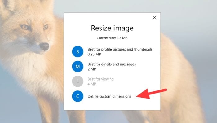 define custom dimensions - How to Resize a Picture on PC Without Third-Party App 19