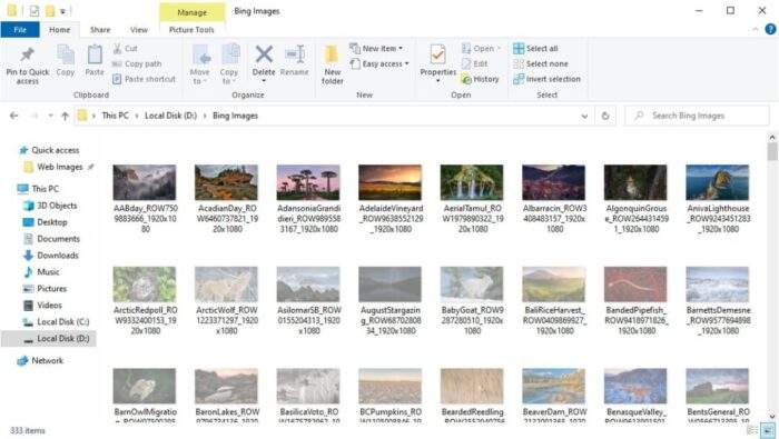 hidden files exposed - How to Show Hidden Files/Folders on Windows 19