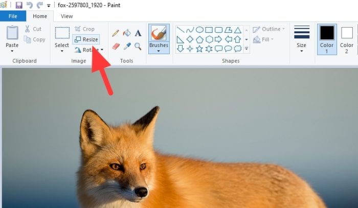 resize 1 - How to Resize a Picture on PC Without Third-Party App 7