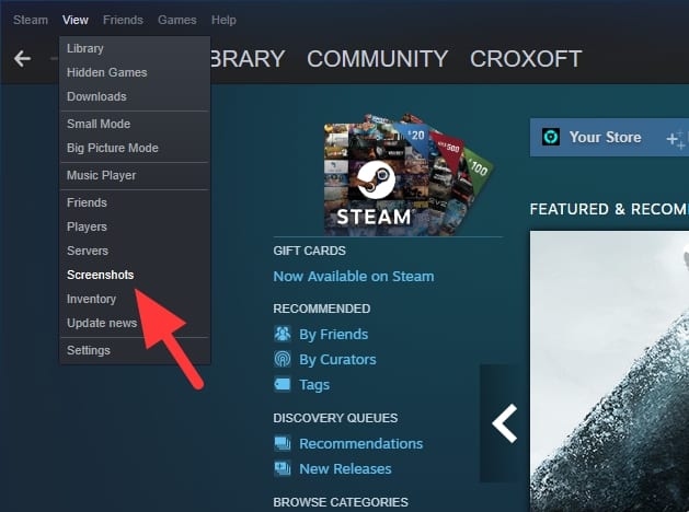 screenshots - How to Take Screenshot in Steam Games & Saved Automatically 11