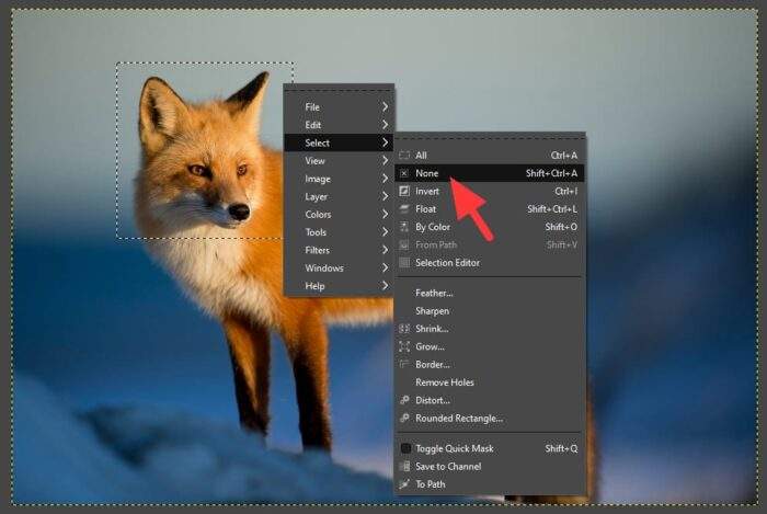 select none 1 - 4 Quick Method to Deselect an Object on GIMP 9