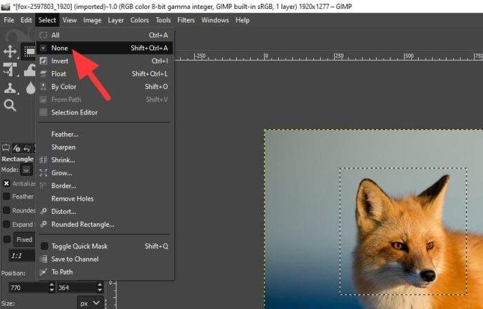select none - 4 Quick Method to Deselect an Object on GIMP 7