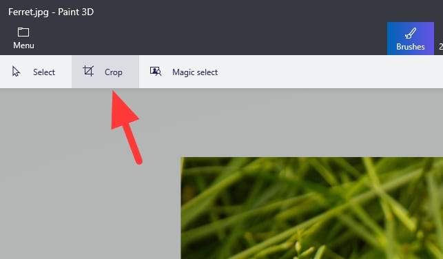 crop 2 - How to Make Transparent Background in Paint 3D 7