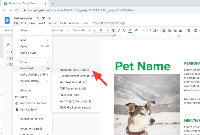 download microsoft word docx - How to Convert PDF to Word Document with Google Docs 11