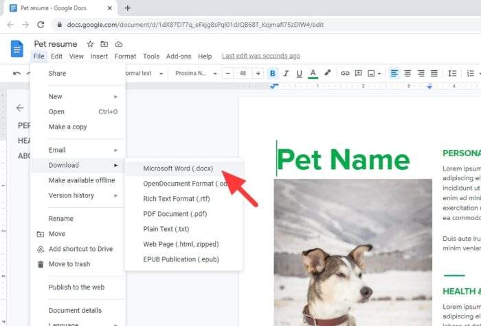 download microsoft word docx - How to Convert PDF to Word Document with Google Docs 11