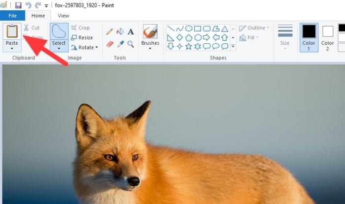 paste image - How to Put a Transparent Image Over Another Image in Paint 15