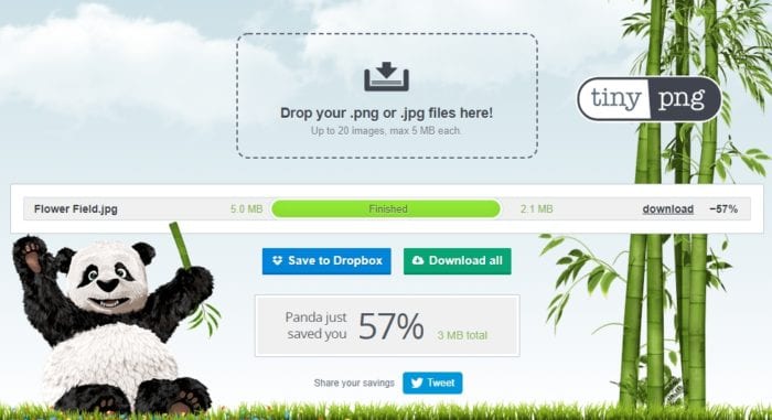 tinyjpg - 5 Best Free Tools to Compress Photos Online Without Visual Downgrade 5