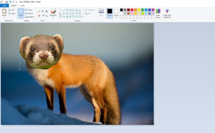 transparent image - How to Put a Transparent Image Over Another Image in Paint 17
