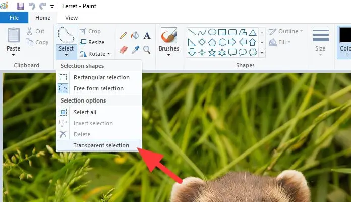 transparent selection - How to Put a Transparent Image Over Another Image in Paint 19