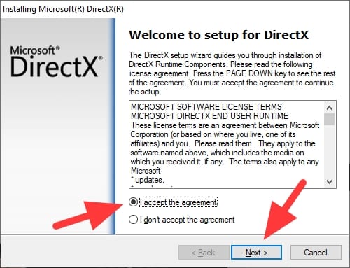 accept the agreement - How to Check What DirectX Version You Have on Your PC 13