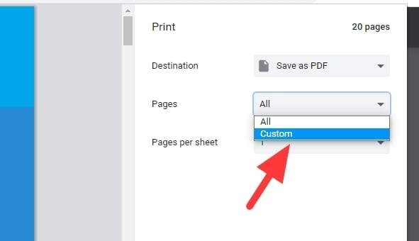 pages custom - How to Save One Single Page of a PDF Using Chrome 9