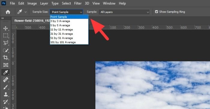 sample size - How to Copy a Color from a Picture in Photoshop 9