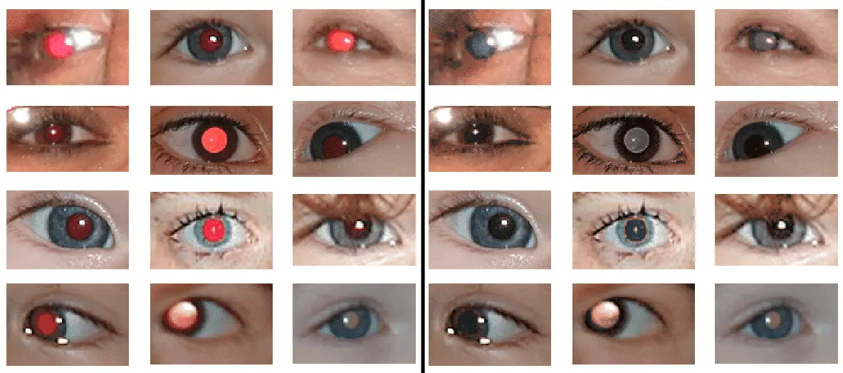 multiple red eyes - How to Fix Multiple Red Eyes Automatically with GIMP 17