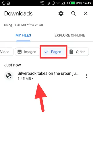 pages - How to Save a Web Page on Chrome Android and Open it Offline 13
