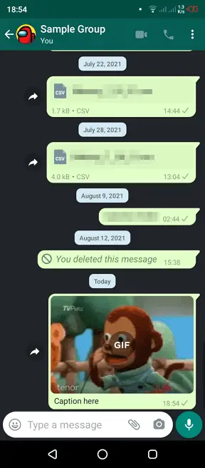 gif sent - How to Send Animated GIF in WhatsApp Chat 15