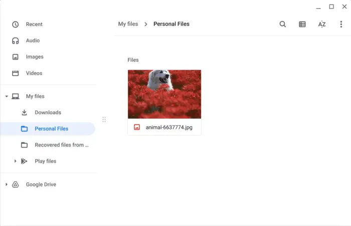files - How to Change Chromebook Wallpaper with Your Own Photo 19