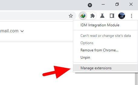 manage - How to Add IDM Extension to Chrome to Speed Up Download 15