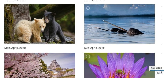 scroll down - How to Select All Photos/Videos in Google Photos in Seconds 9