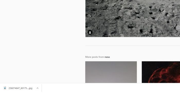 instagram photo downloaded - How to Save Images from Instagram PC 17