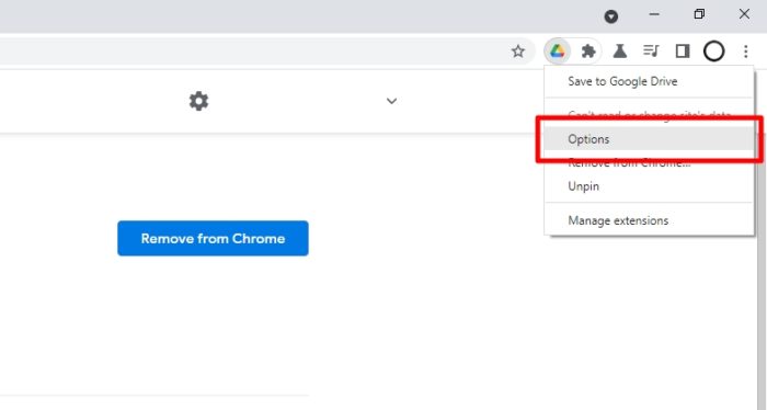 options - How to Save a YouTube Video Directly to Google Drive 11