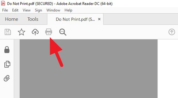 cant print pdf - How to Print Secured PDF That Can't Be Printed 18