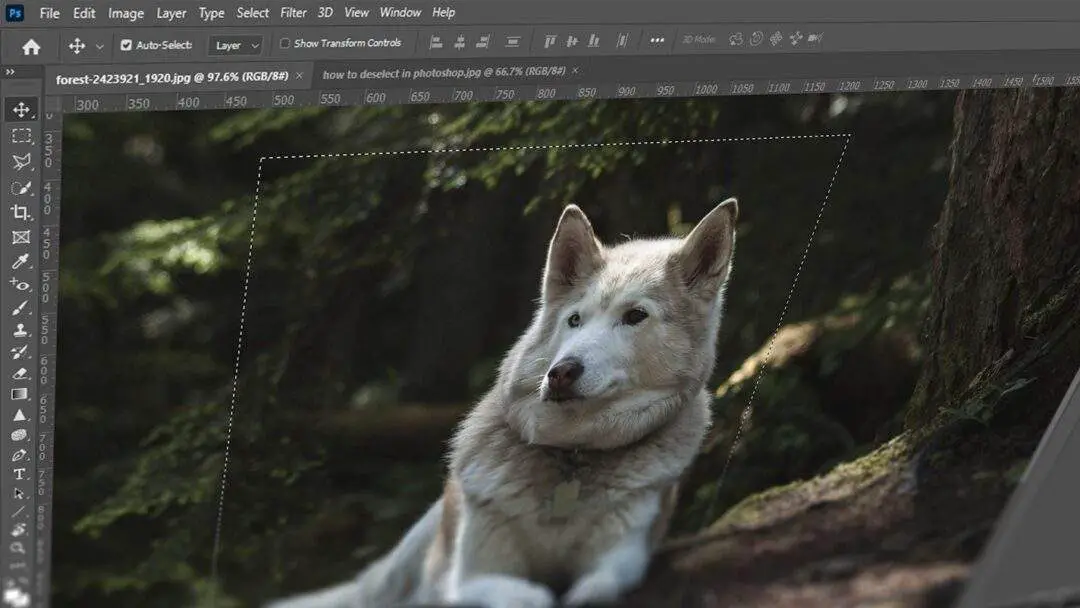How To Deselect In The Ultimate Guide vrogue.co