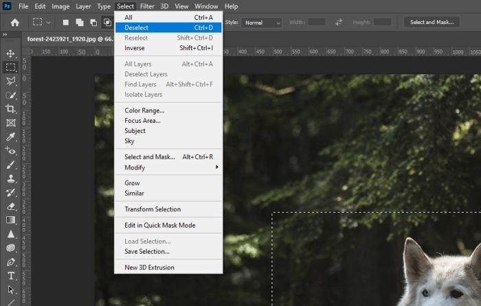select deselect - 4 Ways to Deselect a Selected Area in Photoshop 7