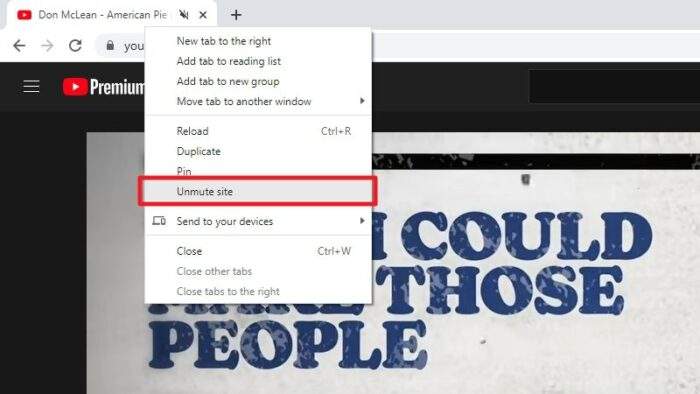 unmute site - 5 Things to Check if YouTube Audio Not working 7