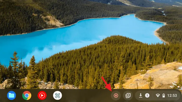 stop screen recording - How to Screen Record Chromebook Without Third-Party App 13