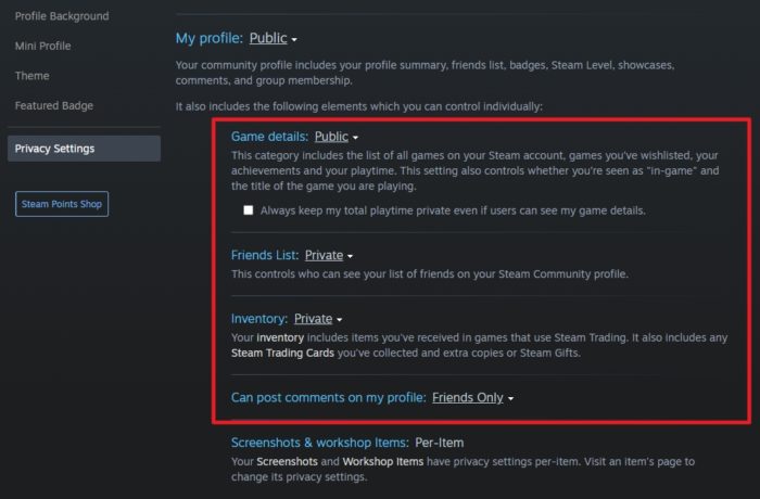 activities - How to Make Your Steam Profile Visible to Public 15