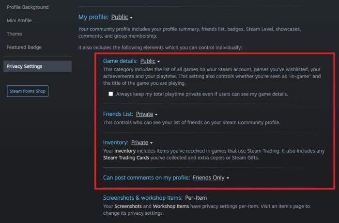 activities - How to Make Your Steam Profile Visible to Public 15