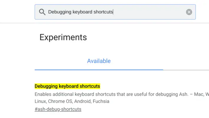 debugging keyboard shortcuts - How to Turn Off Touch Screen on Chromebook at Any Time 9