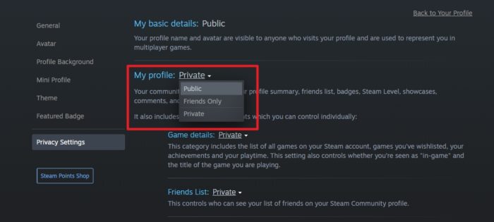 my profile public - How to Make Your Steam Profile Visible to Public 13