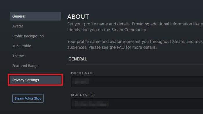 privacy settings - How to Make Your Steam Profile Visible to Public 11