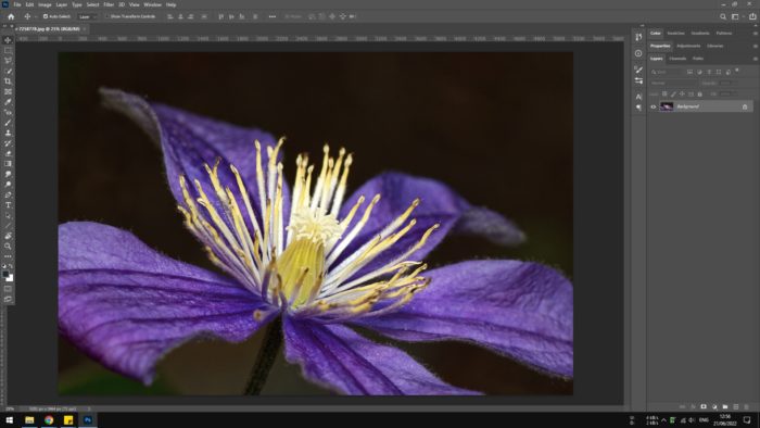 image photoshop - How to Check the DPI Resolution of an Image on Windows 17