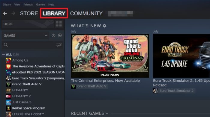 library 2 - 3 Ways to Stop Steam Games from Updating 7