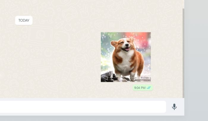 photo as sticker - How to Send Your Photo as a Sticker on WhatsApp 19