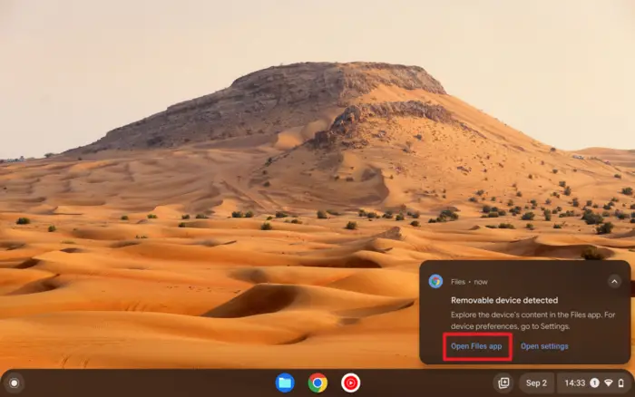 Screenshot 2022 09 02 14.33.01 - How to Access a USB Drive on a Chromebook 7