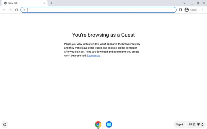 Screenshot 2022 09 06 3.22.43 PM - How to Go Incognito Mode on Chromebook 19
