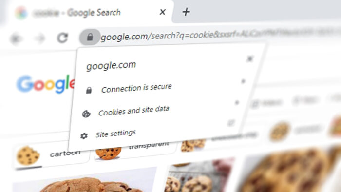 clear cookies from one website - How to Clear Cookies from Just One Website (Chrome Guide) 13