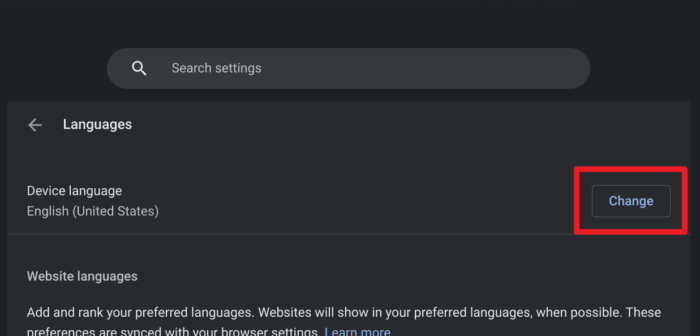 Screenshot 2022 11 17 10.32.29 - How to Change the Display Language on Chromebook 15