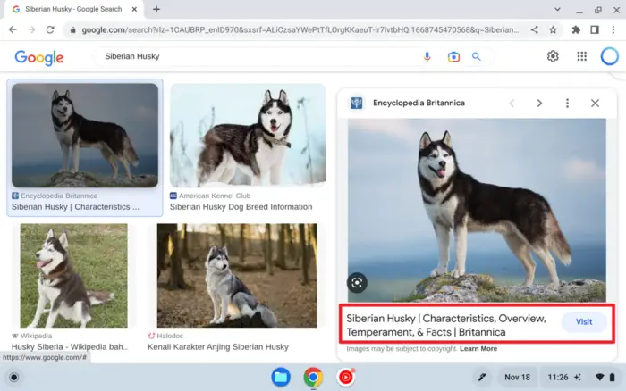 Screenshot 2022 11 18 11.26.06 - How to Save Images from the Web to Your Chromebook 7